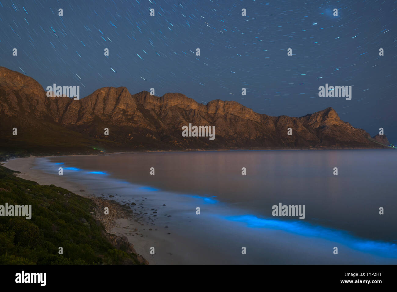 Bioluminescent phytoplankton illuminating the ocean along the coast at the Kogelberg Biosphere Reserve near Cape Town, South Africa. Stock Photo