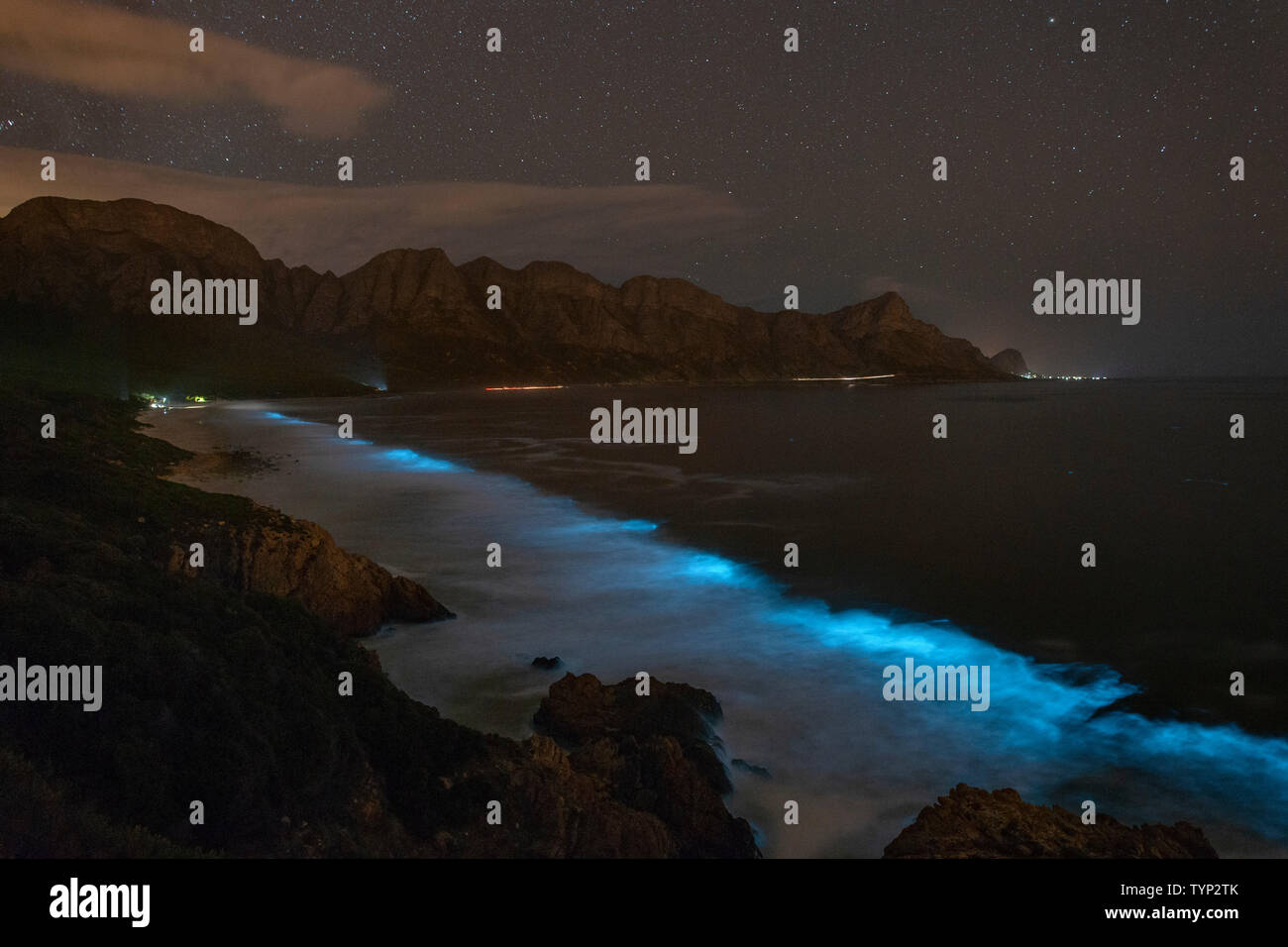 Bioluminescent phytoplankton illuminating the ocean along the coast at the Kogelberg Biosphere Reserve near Cape Town, South Africa. Stock Photo