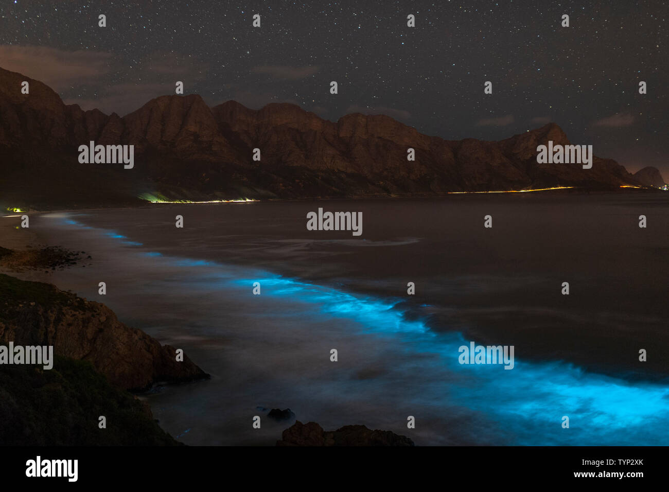 Bioluminescent phytoplankton illuminating the ocean along the coast at the Kogelberg Biosphere Reserve near Cape Town, South Africa. Stock Photo