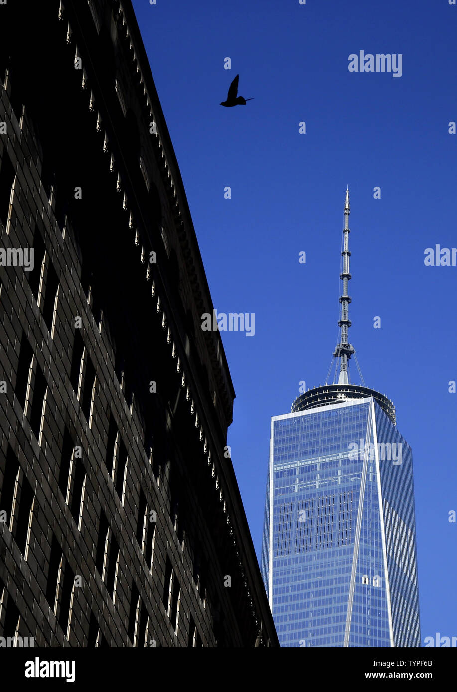 https://c8.alamy.com/comp/TYPF6B/a-bird-flies-in-the-shadows-of-one-world-trade-center-in-new-york-city-on-november-3-2014-thirteen-years-after-the-911-terrorist-attack-the-resurrected-world-trade-center-has-opened-for-business-some-of-publishing-giant-conde-nasts-staffers-began-working-at-one-world-trade-center-on-today-upijohn-angelillo-TYPF6B.jpg