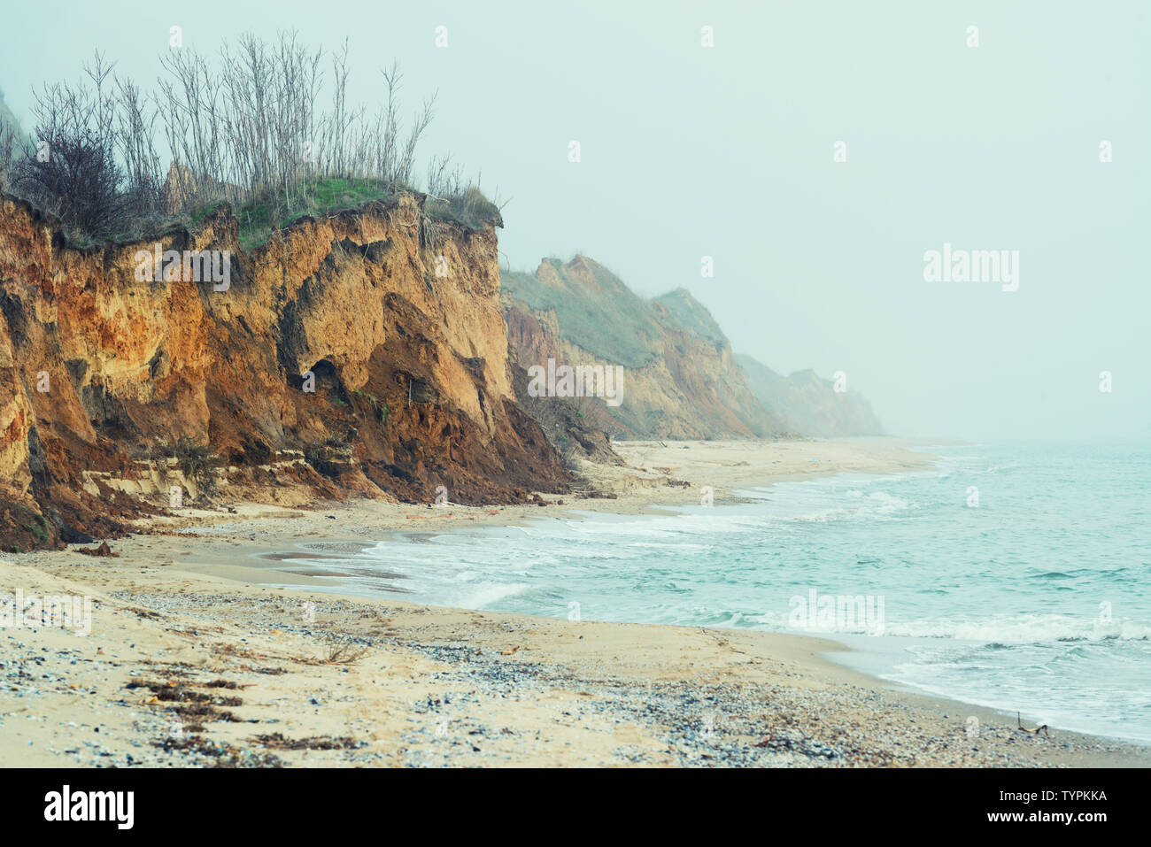 Beautiful foggy morning on the sea coast Stock Photo - Alamy