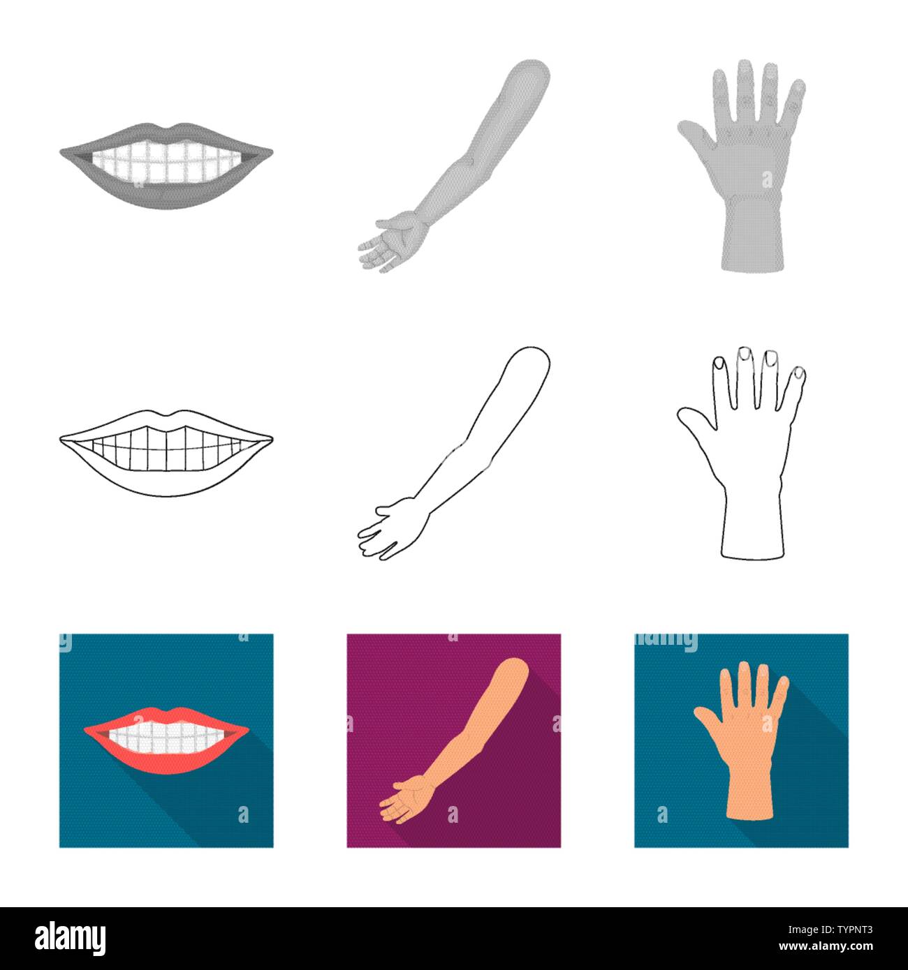 Isolated object of body and part icon. Set of body and anatomy stock ...