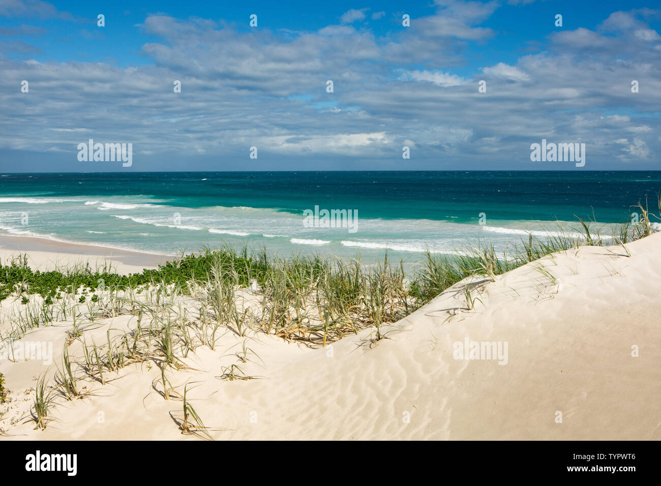 wide angle view of a white sandy beach with high dunes in Western Australia with big waves breaking on the beach Stock Photo