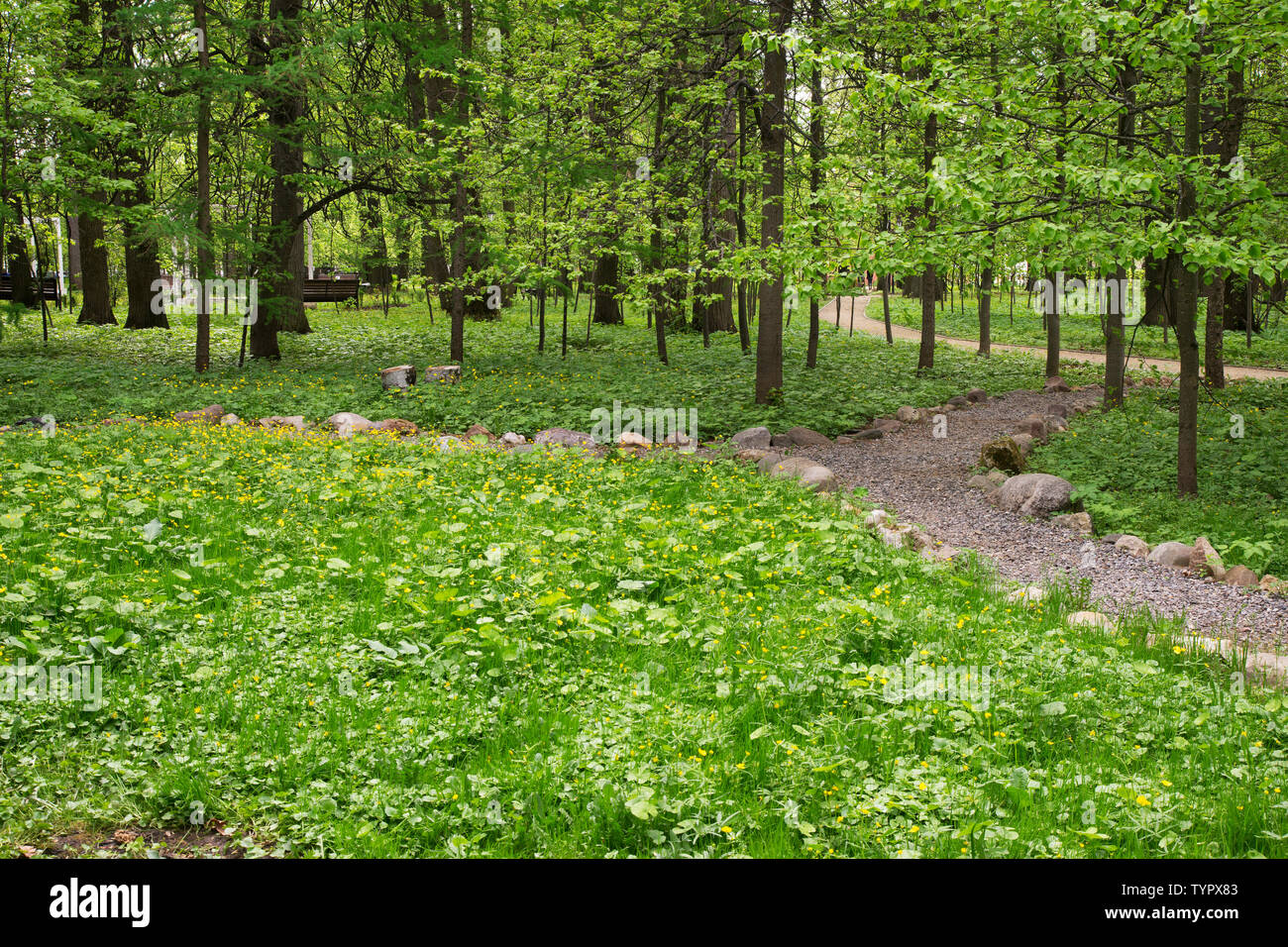 Park of estate at Bolshiye Vyazyomy. Odintsovsky district. Moscow oblast. Russia Stock Photo