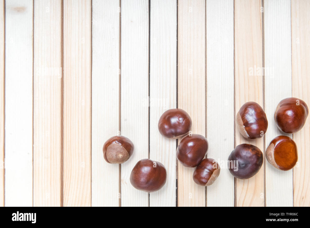 Empty Conker Shell Empty conker shell hi-res stock photography and images - Alamy