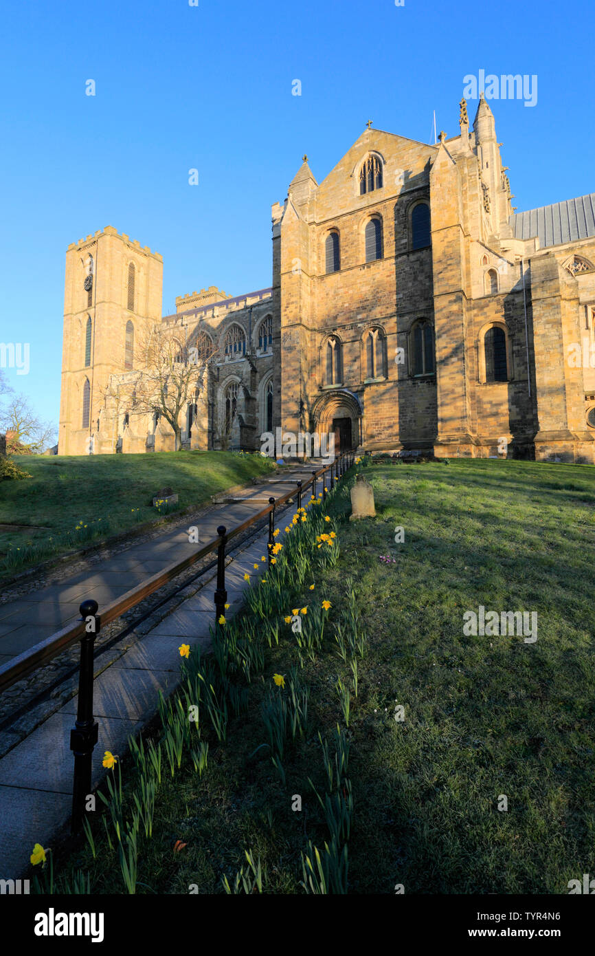 Spring flowers ripon cathedral hi-res stock photography and images - Alamy