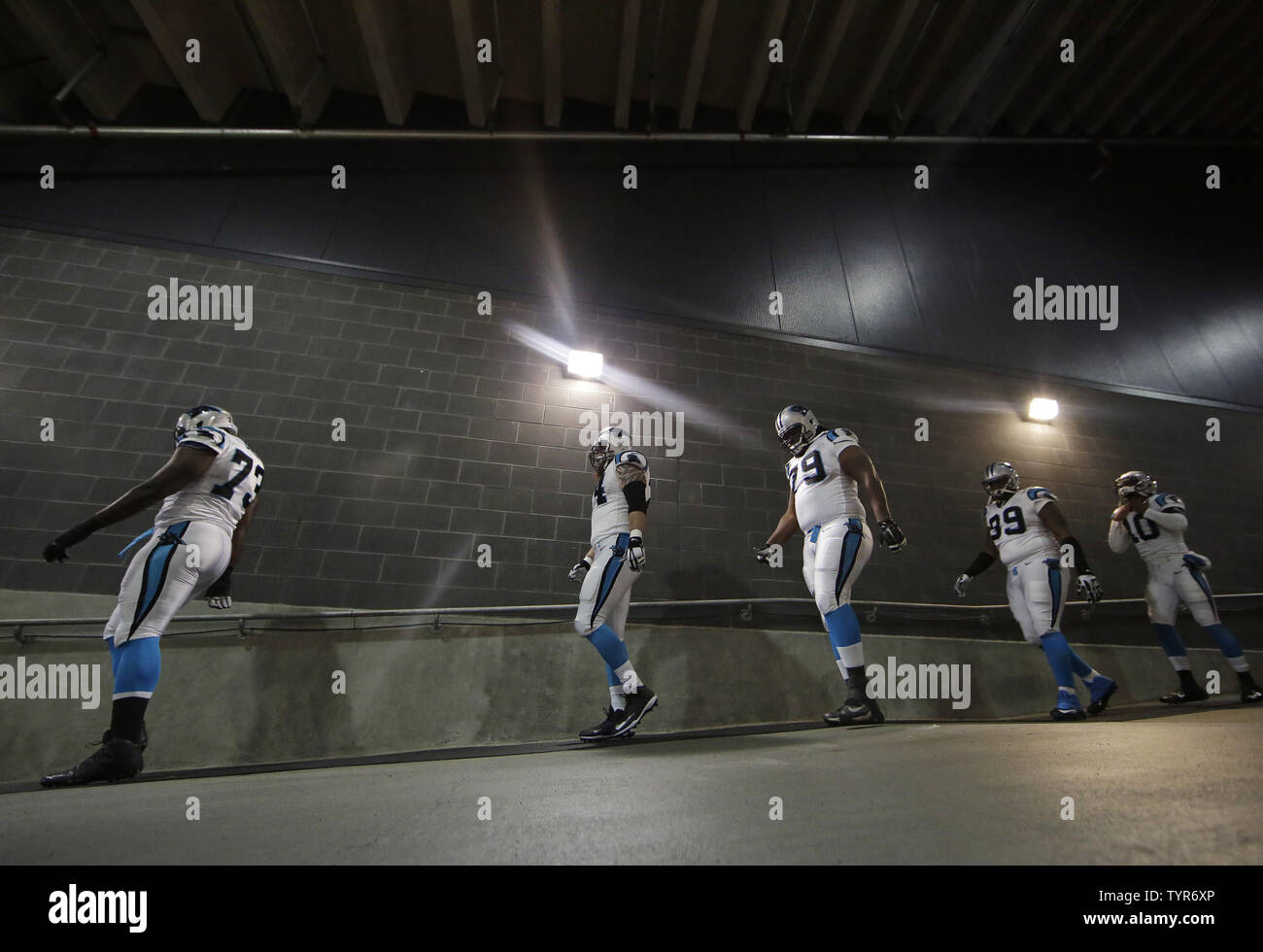 carolina panthers jersey 2015