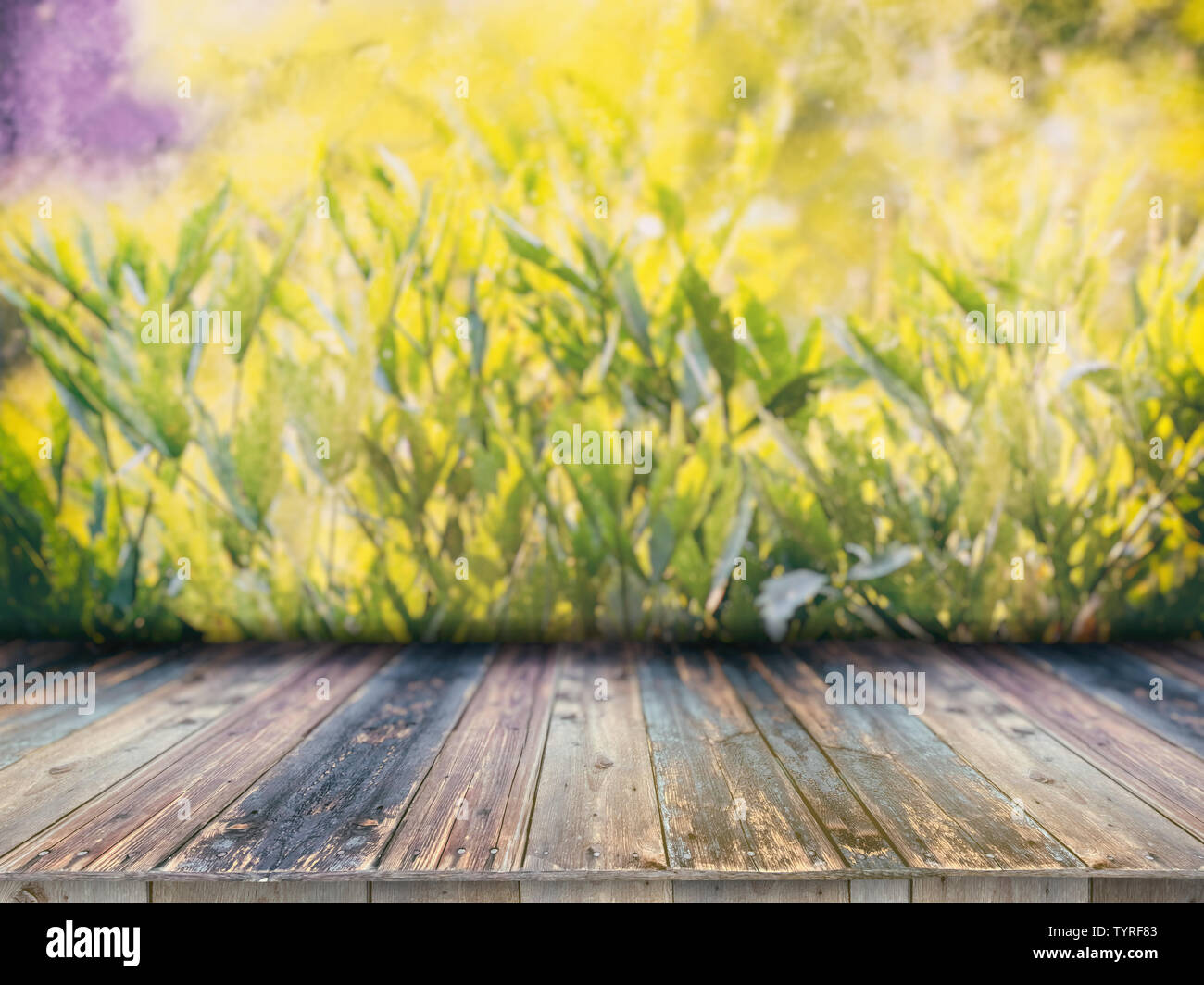 Dark Green Shop Front High Resolution Stock Photography And Images Alamy