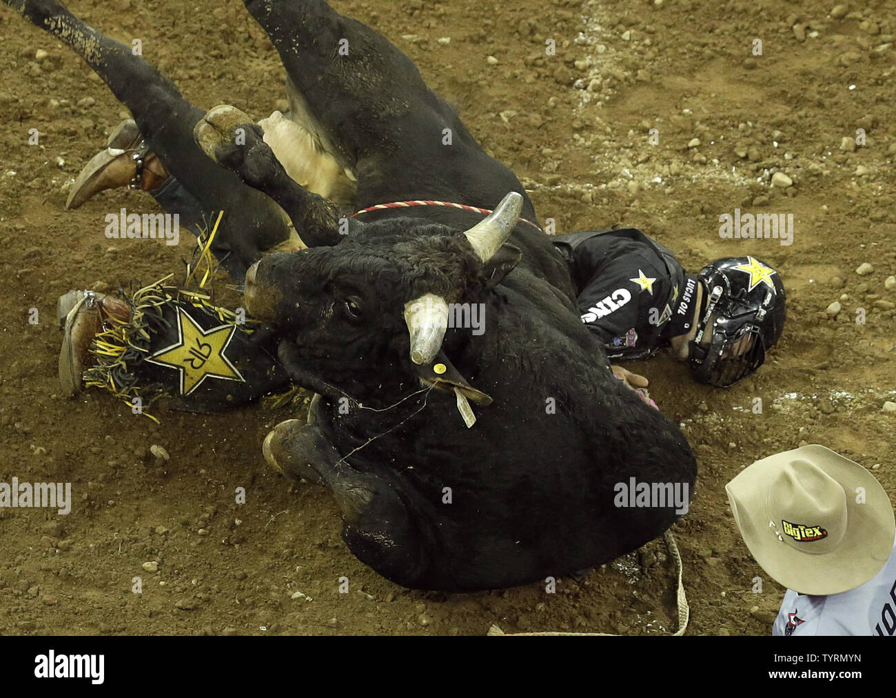 A bull falls on top of a bull rider when he competes at the ...
