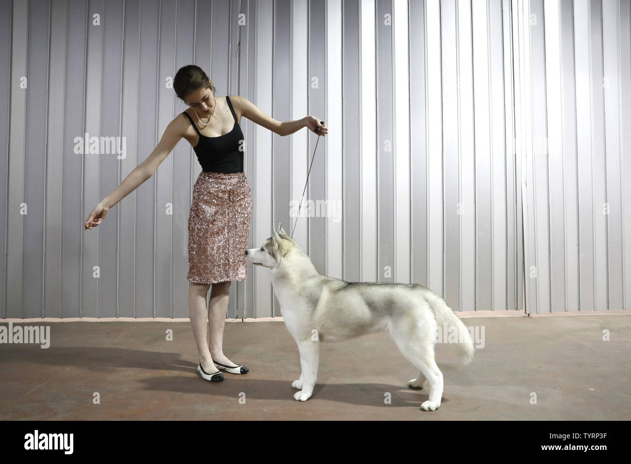 How Much Do Dog Breeders Make Yearly