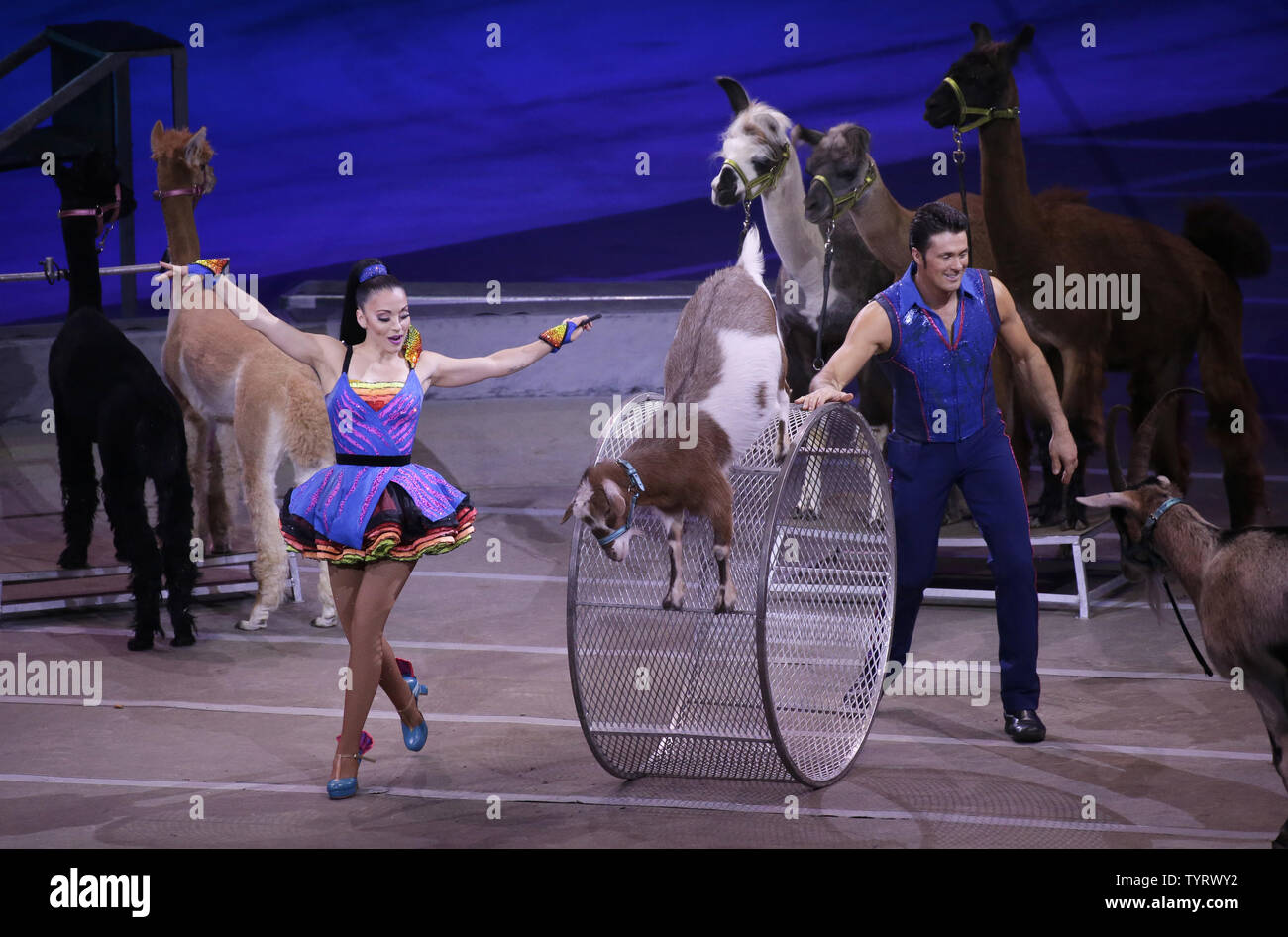 Circus Animals Rights High Resolution Stock Photography And Images Alamy
