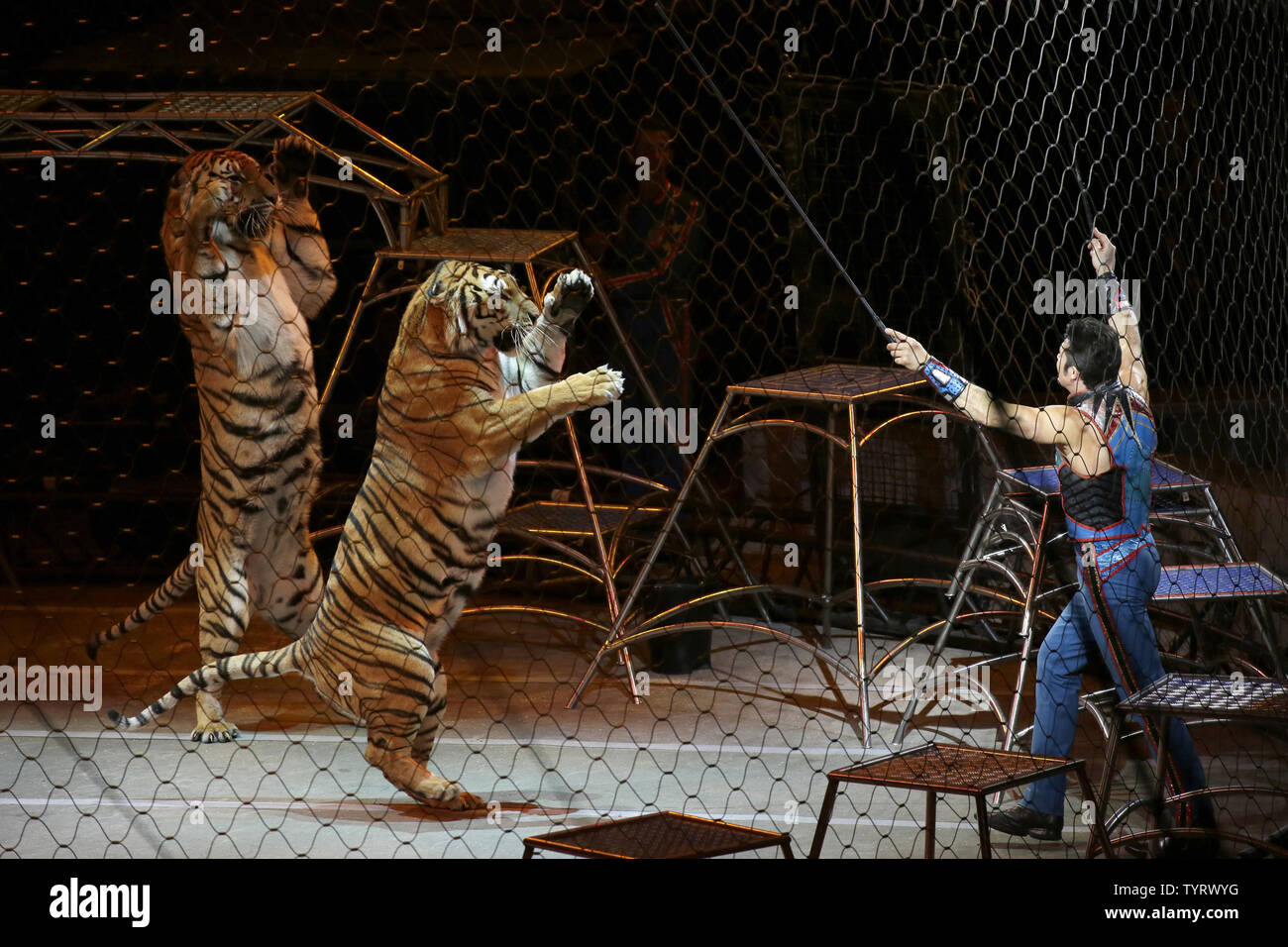Circus trainer high resolution stock photography and images  alamy Circus trainer high resolution stock photography and images  alamy