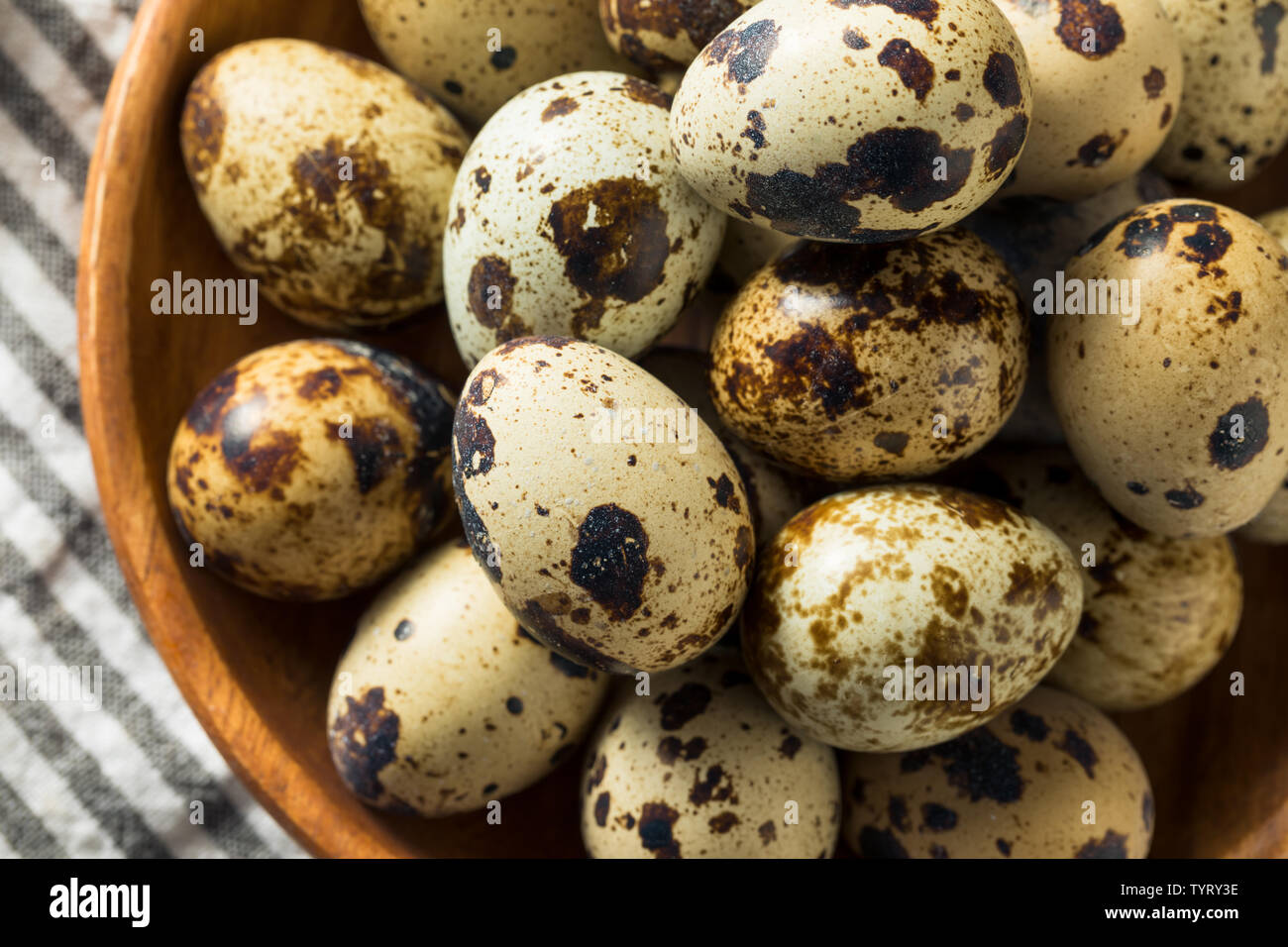 Raw Organic Spotted Quail Eggs Ready to Cook Stock Photo Alamy