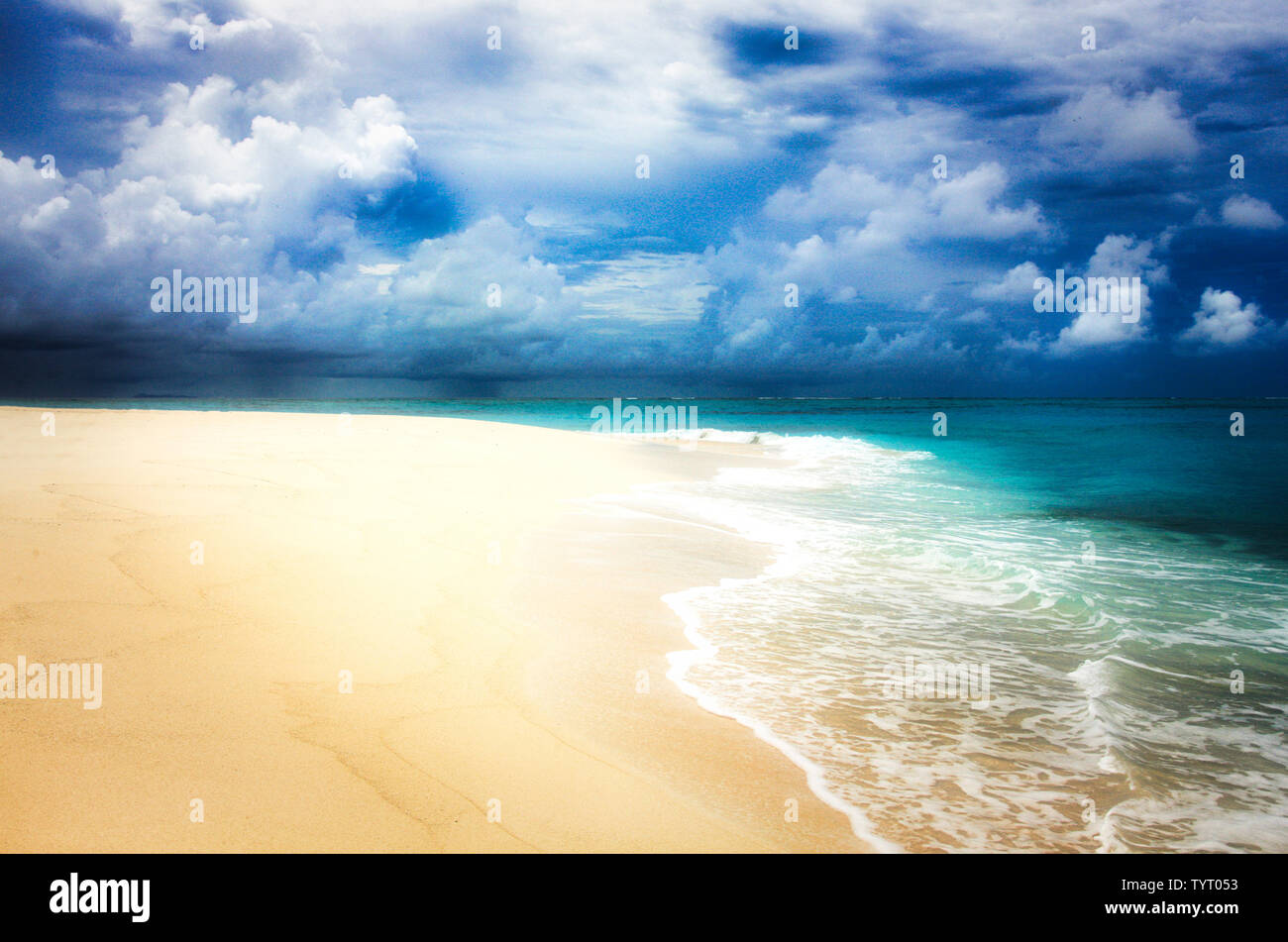 Tropical Island with a paradise beach and palm trees, Fiji Islands Stock Photo
