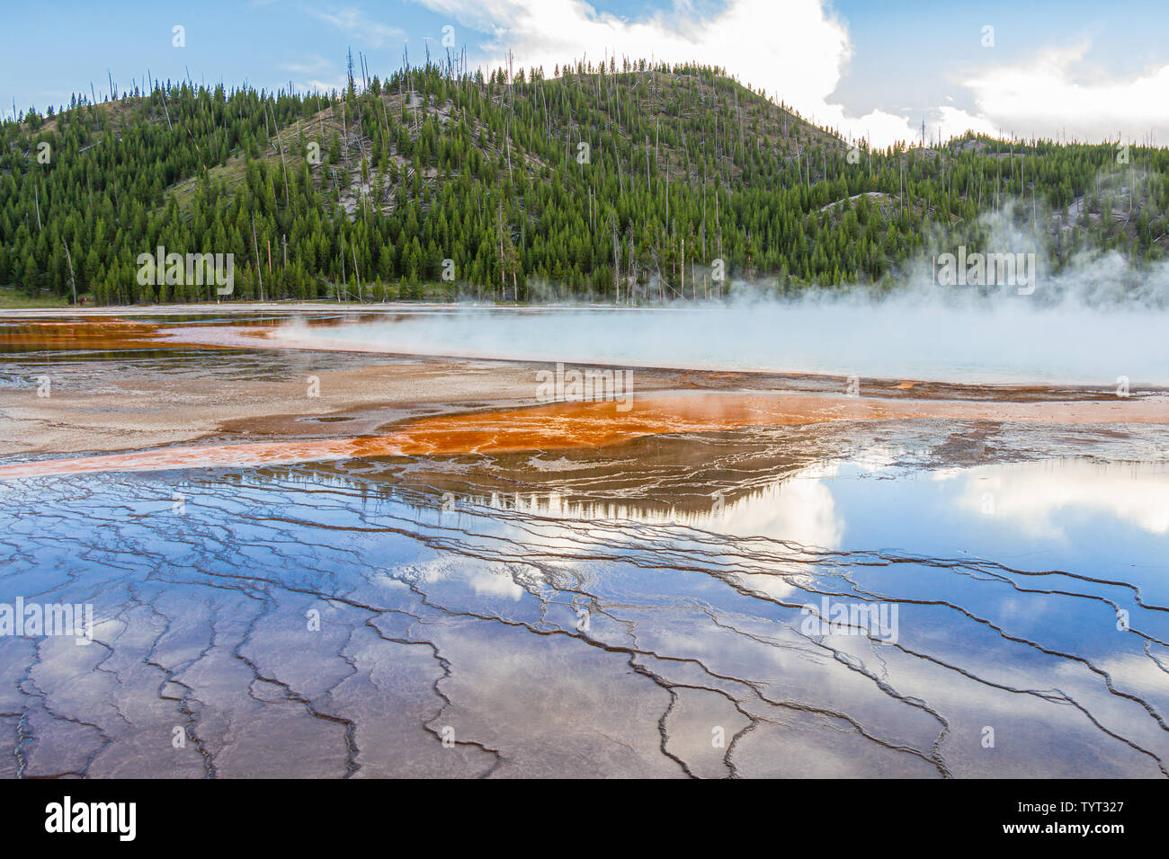 Late afternoon boardwalk-level view of Grand Prismatic Spring in Yellowstone National Park, Wyoming, USA. Stock Photo