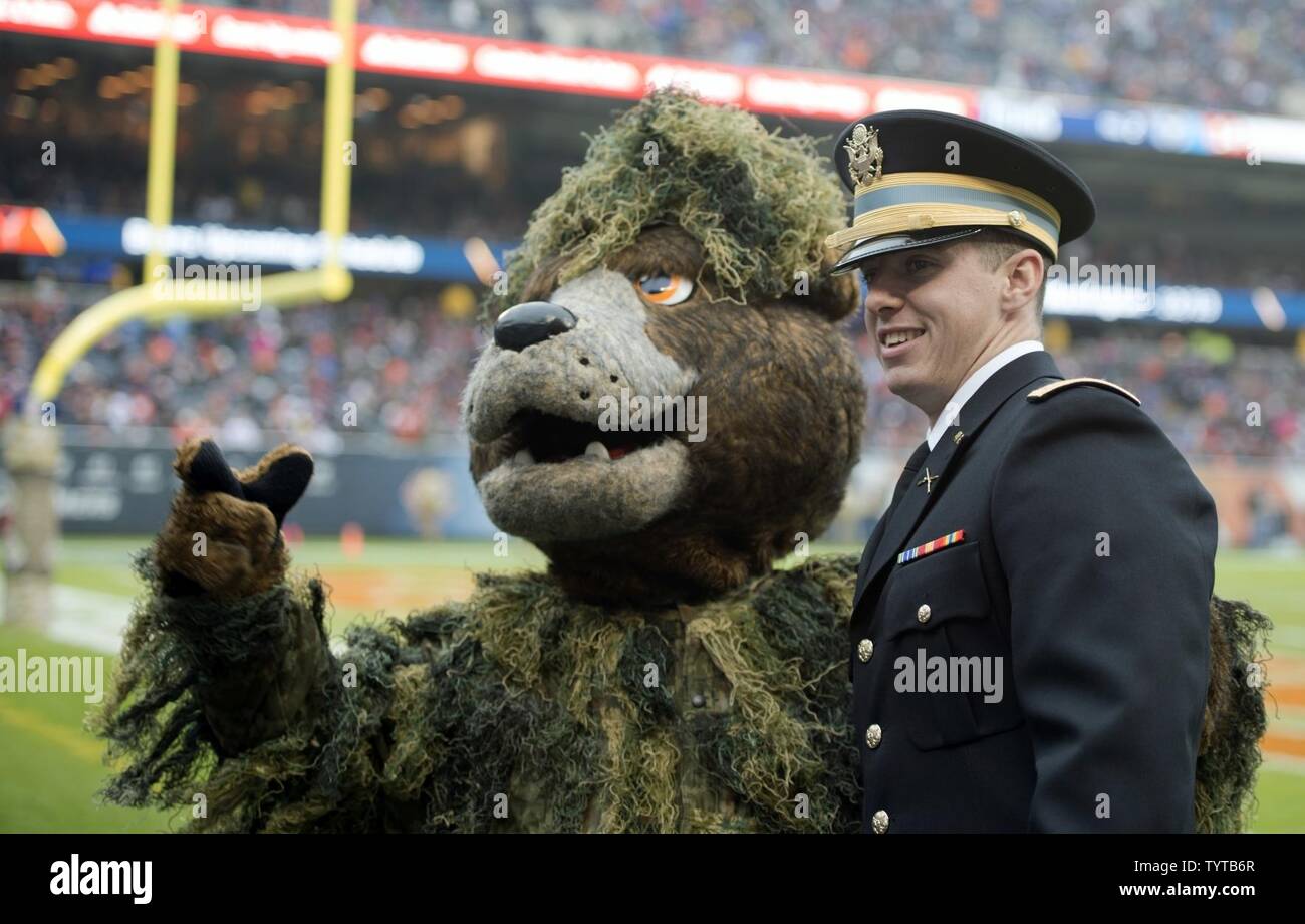 Chicago bears veterans day hat 2025