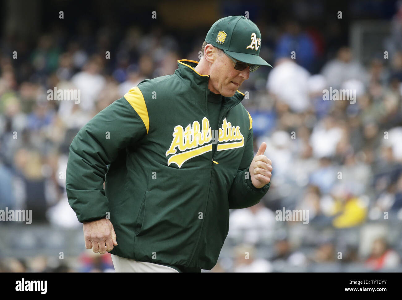 Oakland Athletics Manager Bob Melvin High Resolution Stock Photography and  Images - Alamy