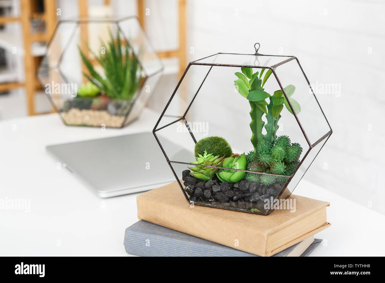 Laotop, vase with plants and books stack on table Stock Photo