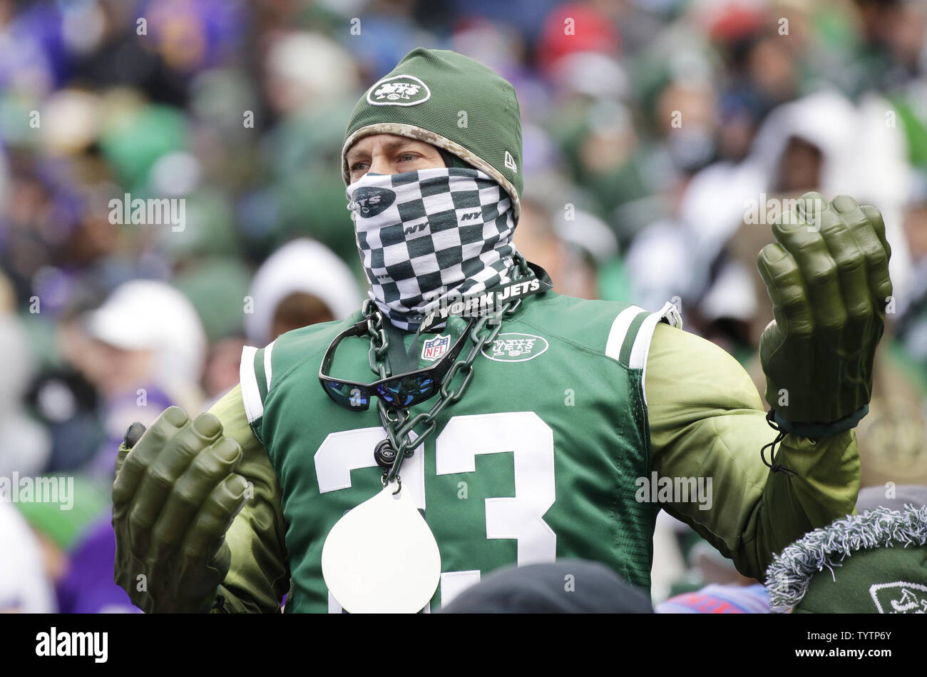 Minnesota vikings fan in costume hi-res stock photography and images - Alamy