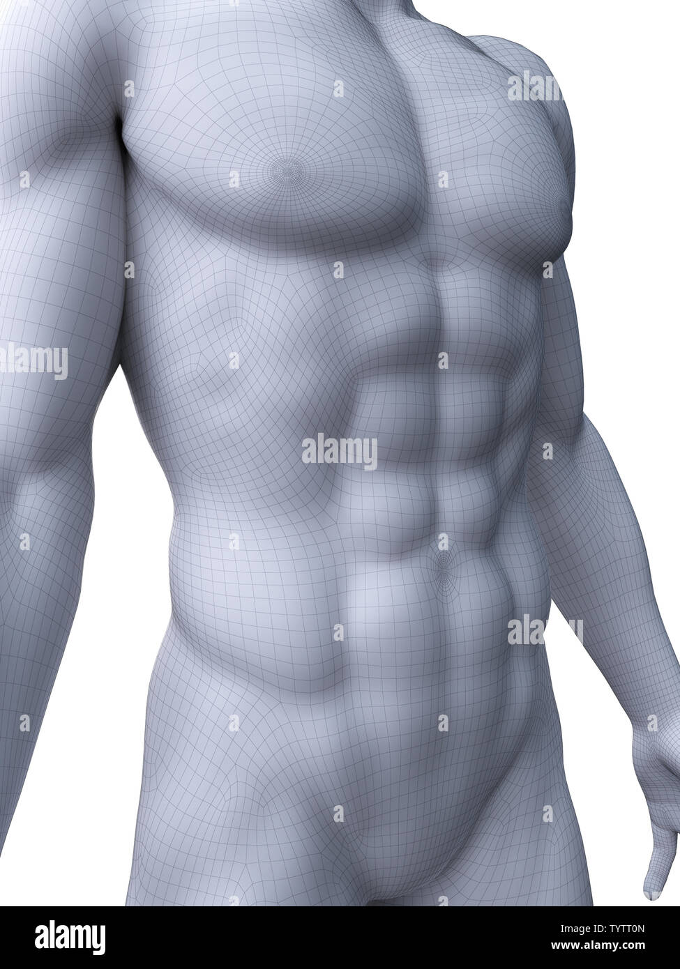 3d rendered medically accurate illustration of sixpack abs Stock Photo