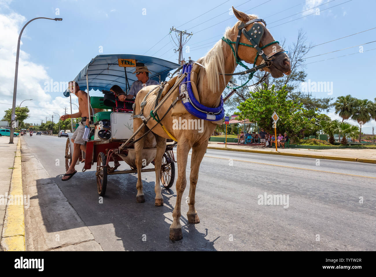 Varadero, Cuba - May 8, 2019: Horse Carriage Taxi Ride in the street during a vibrant and bright sunny day. Stock Photo
