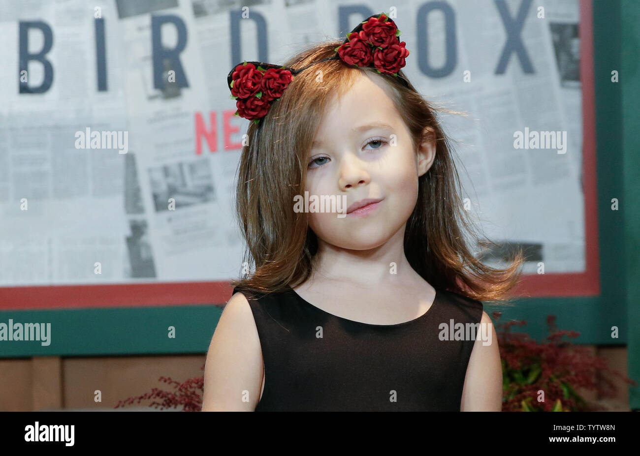 Vivien lyra blair bird box hi-res stock photography and images - Alamy