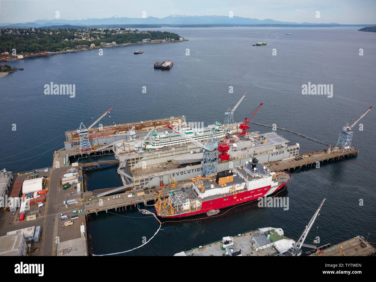 aerial view of Vigor Industrial dry docks, Harbor Island, Seattle, Washington, USA Stock Photo