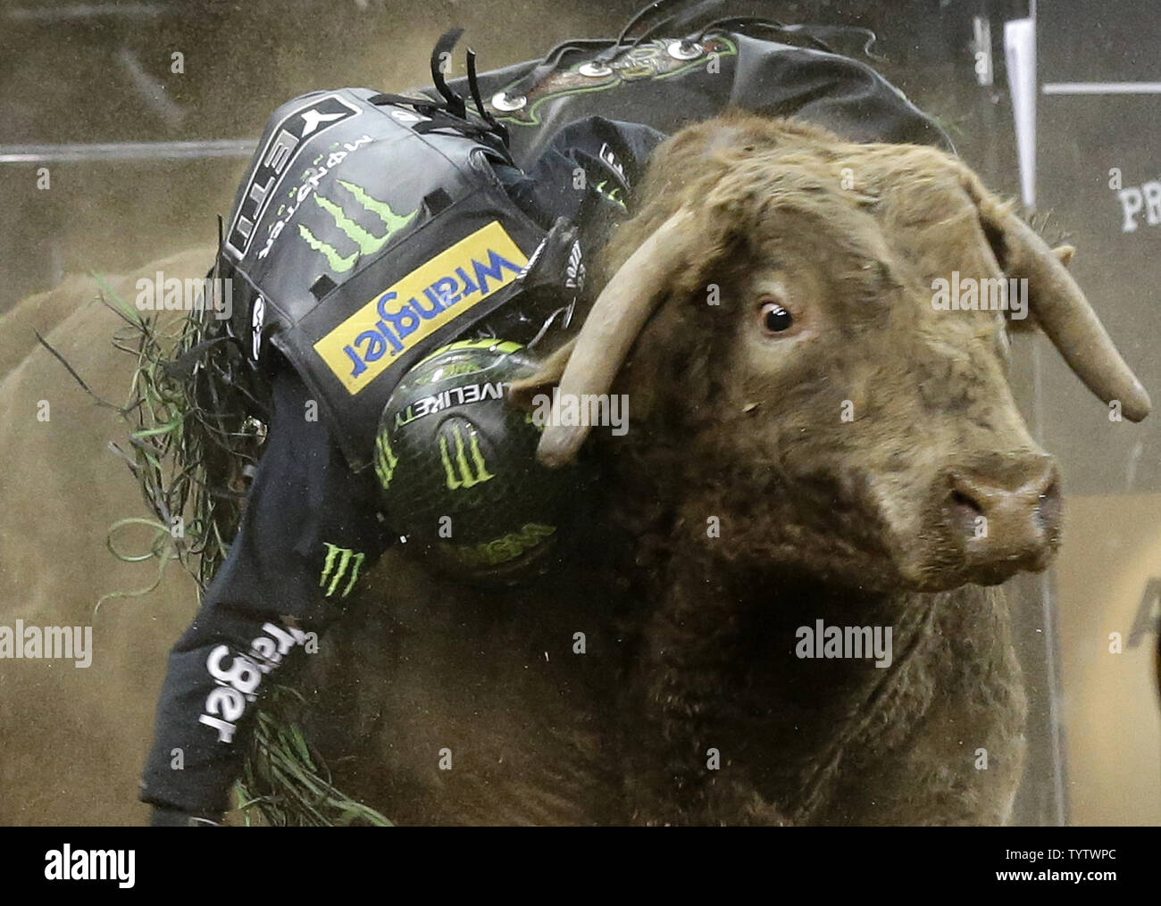 Bull riders compete in the championship round at the Professional Bull ...