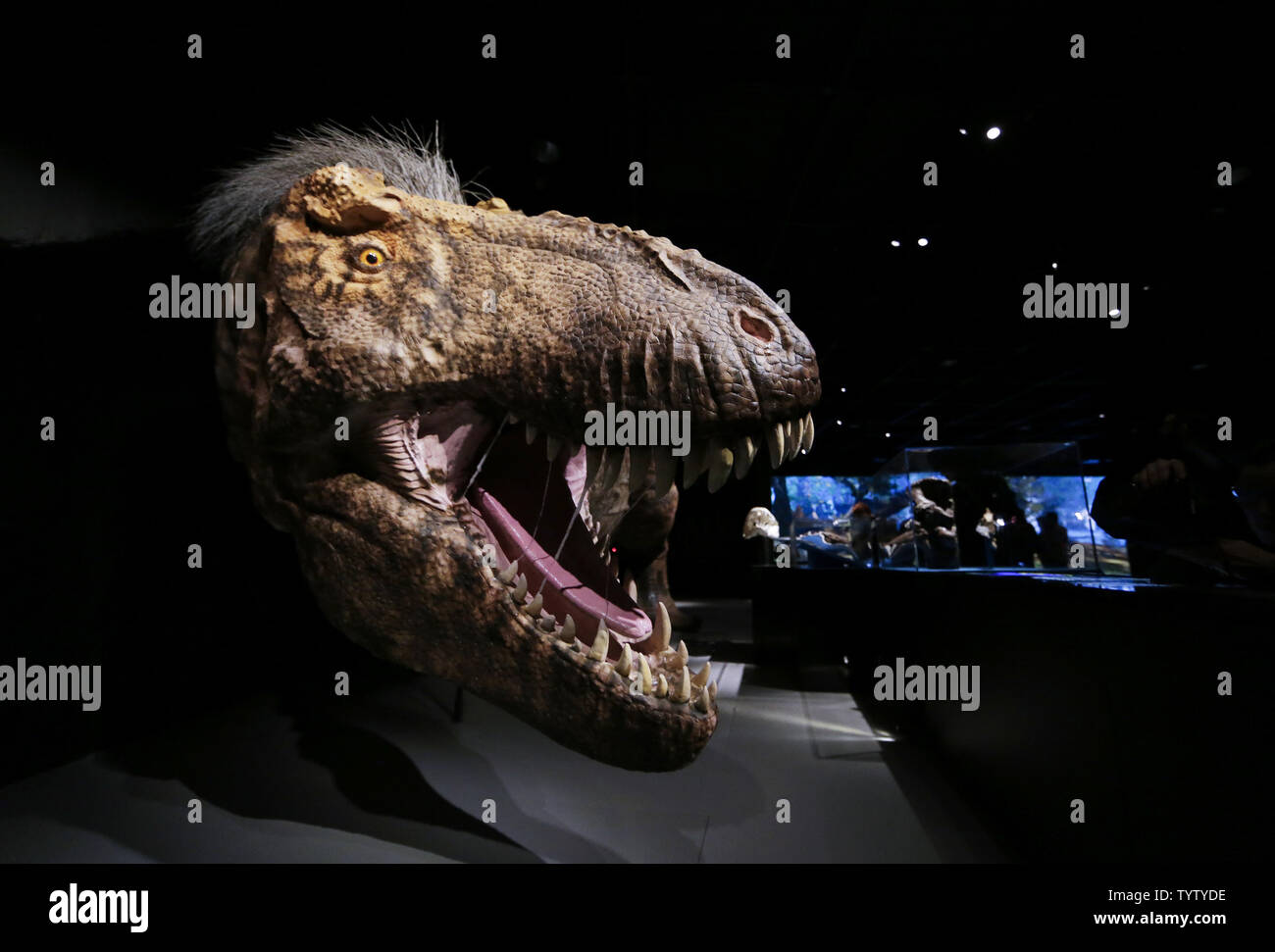 ultime predator