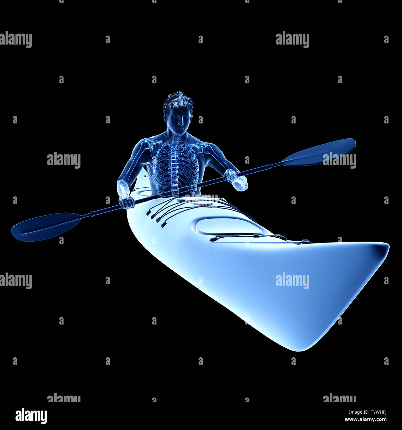 Skeleton Rafting 3d rendered medically accurate illustration of the skeleton of a ...