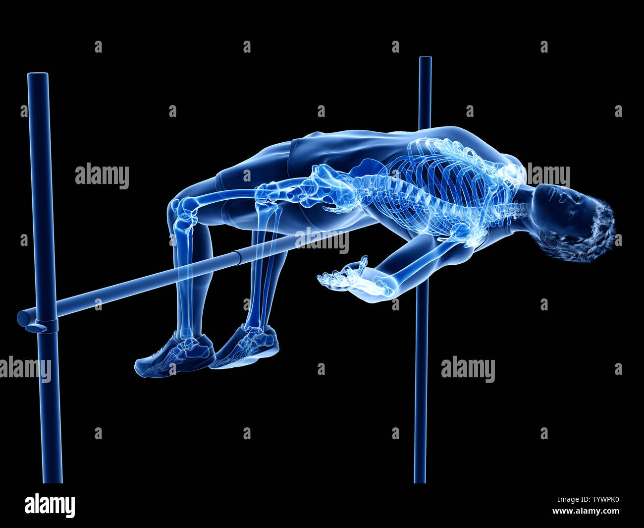 3d rendered medically accurate illustration of the Stock Photo - Alamy