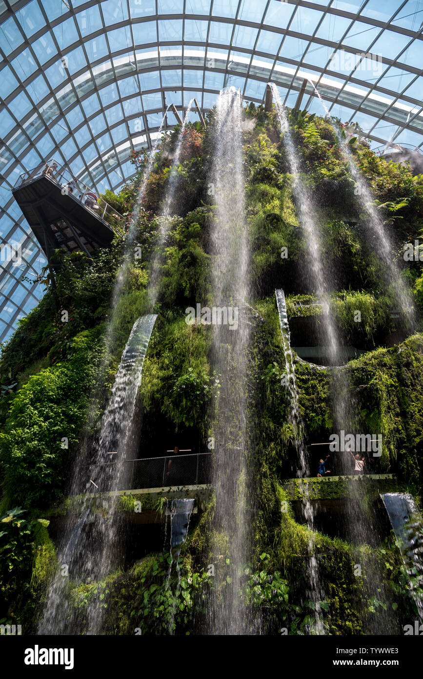 October 02, 2018 Cloud Forest, botanic garden with the highest