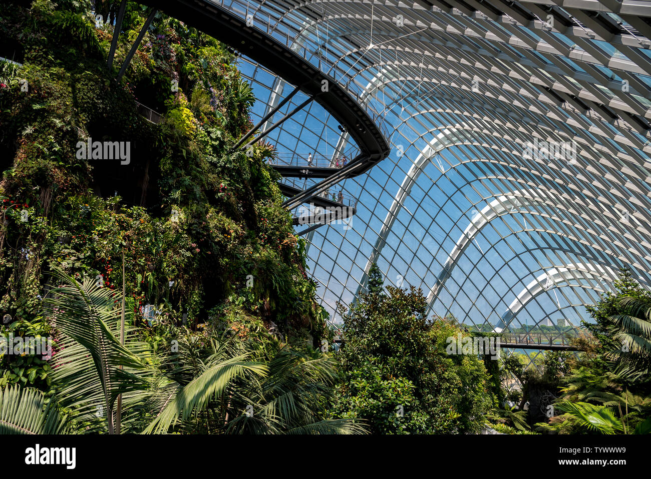 October 02, 2018 Cloud Forest, botanic garden with the highest