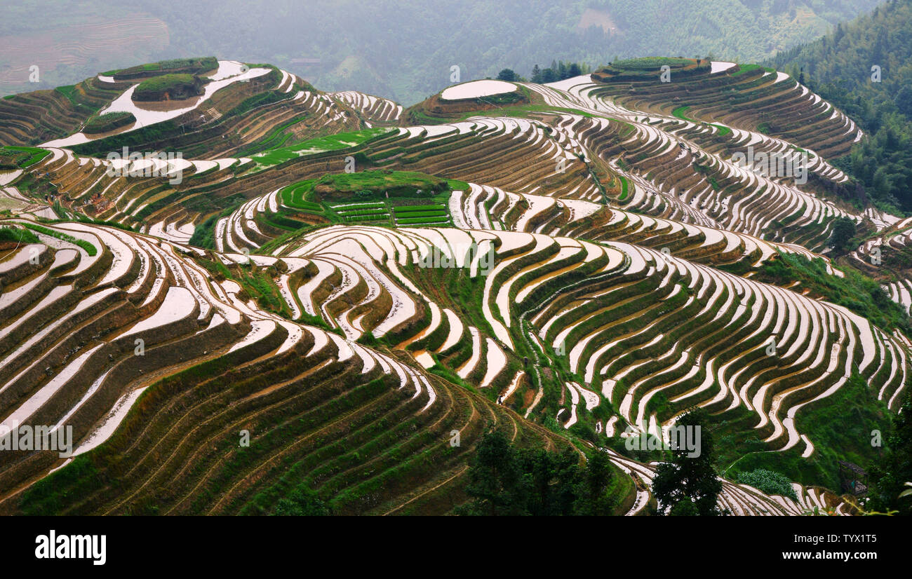 Dragon ridge terraces hi-res stock photography and images - Alamy