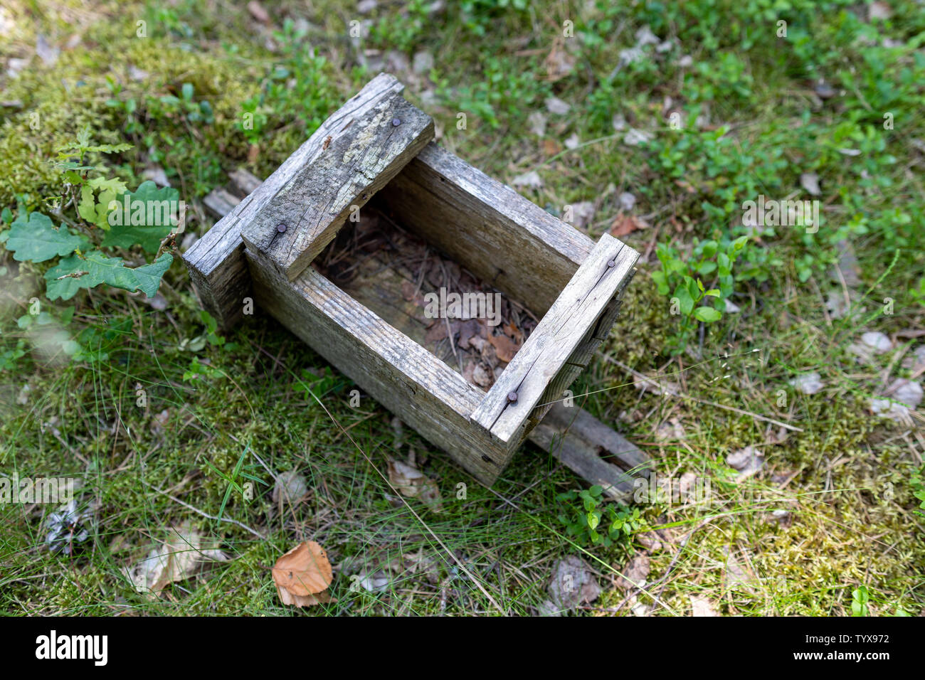 Old Bird Feeder Lying On The Forest Litter Wooden Birdhouse