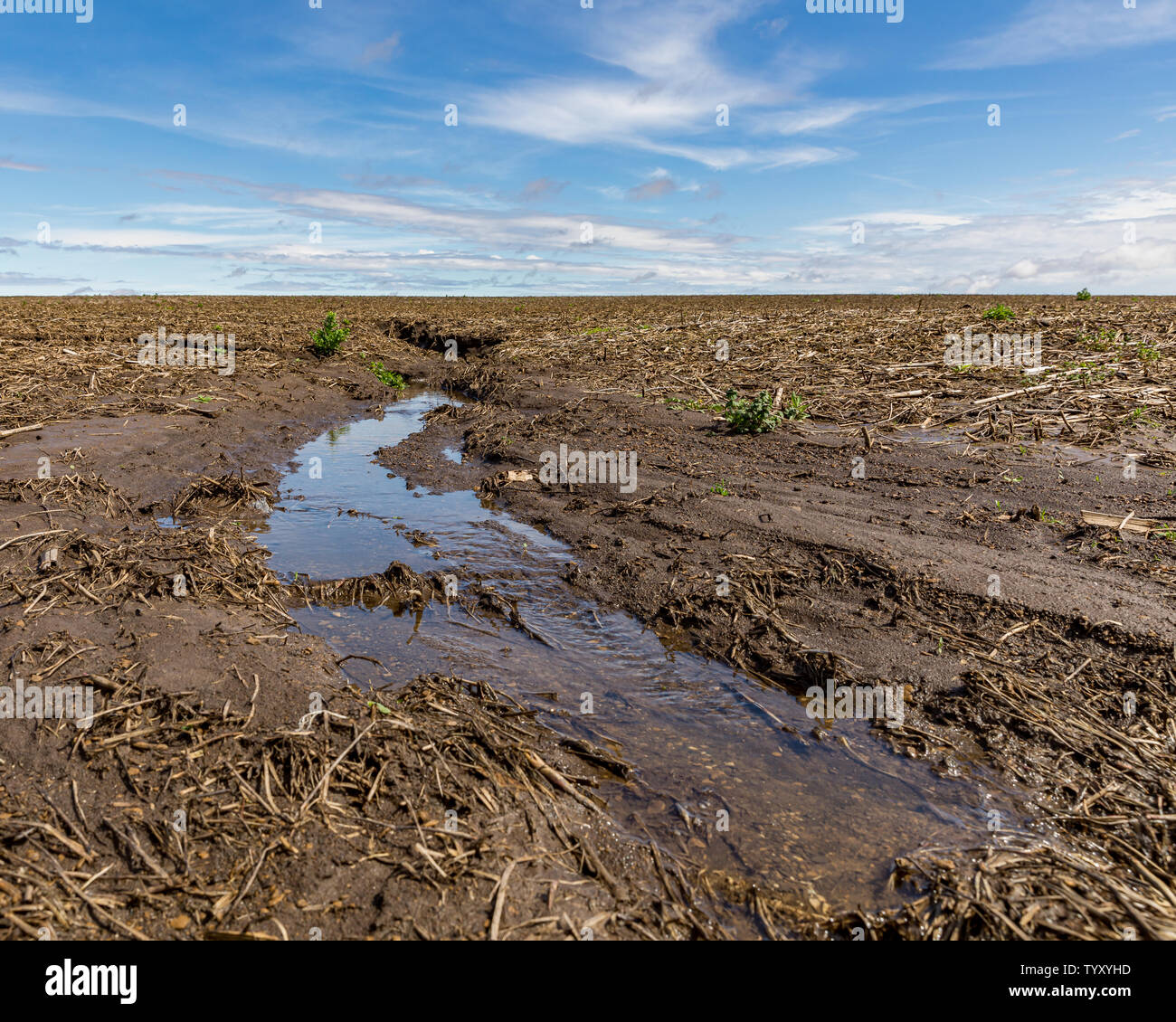 Heavy rains and storms in the Midwest have caused flooding of farm fields and water runoff has lead to soil erosion and drainage issues Stock Photo