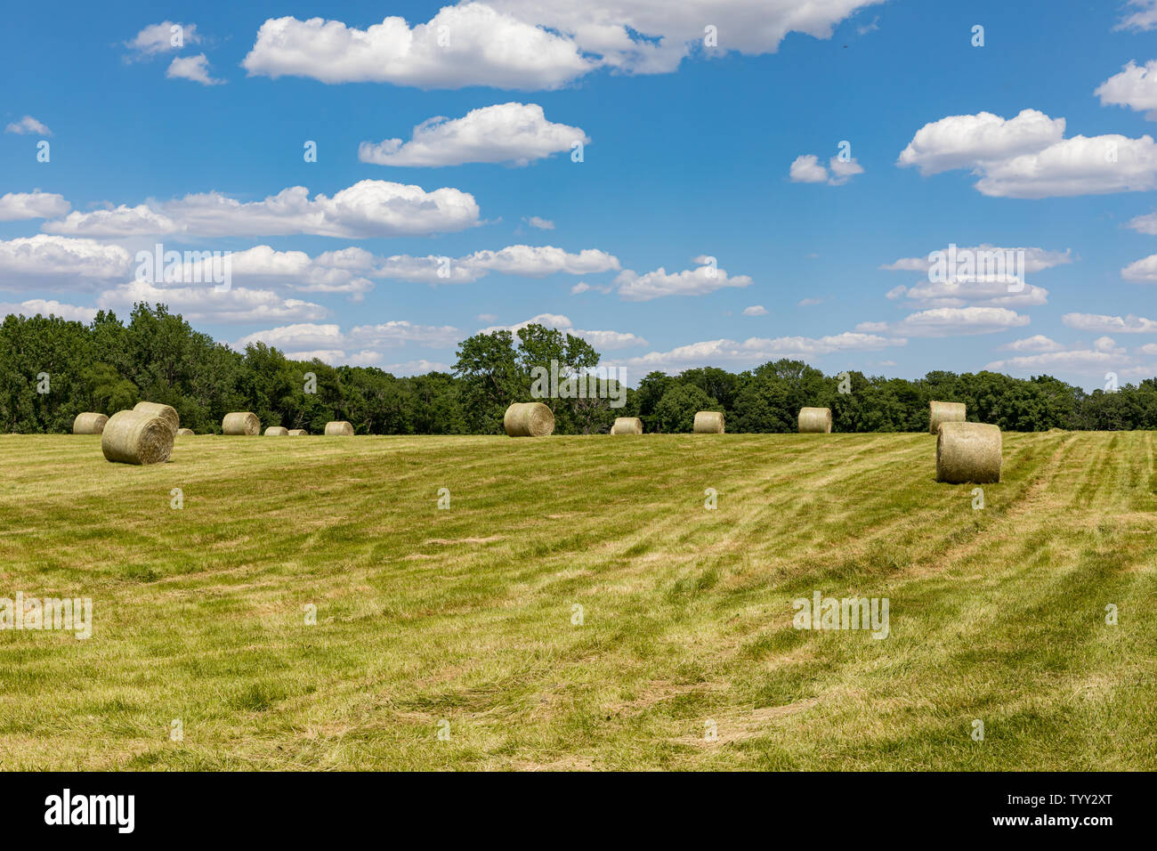 Hay bales sitting on a hillside pasture on a sunny day with white
