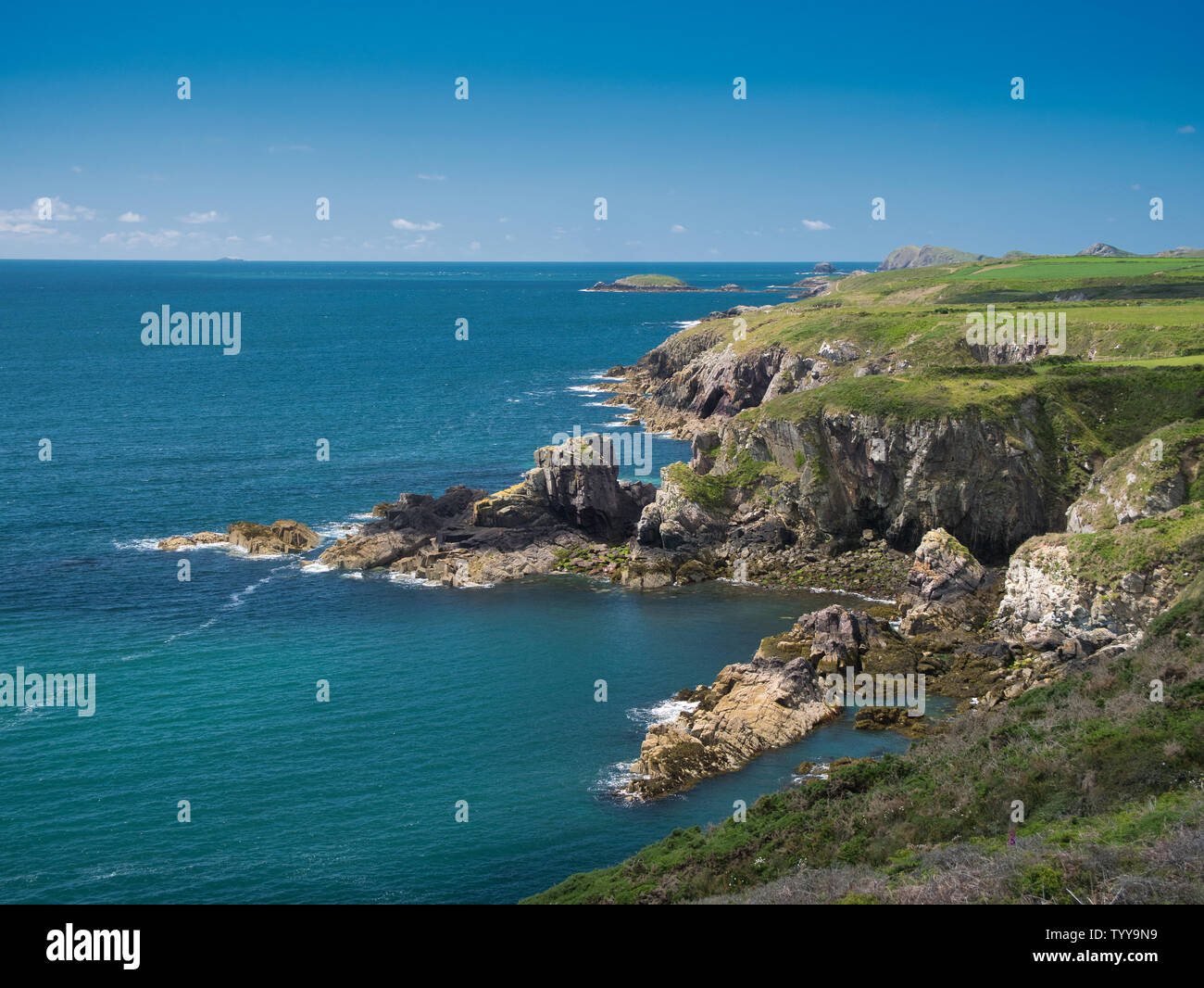Coastal cliffs in Pembrokeshire, South Wales, UK, as viewed from the Coast Path Stock Photo