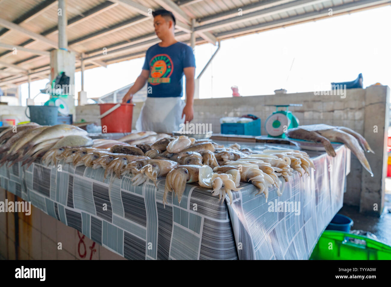 KOTA KINABALU BORNEO MAY 31 2019; Workers, vendors and fresh seafood