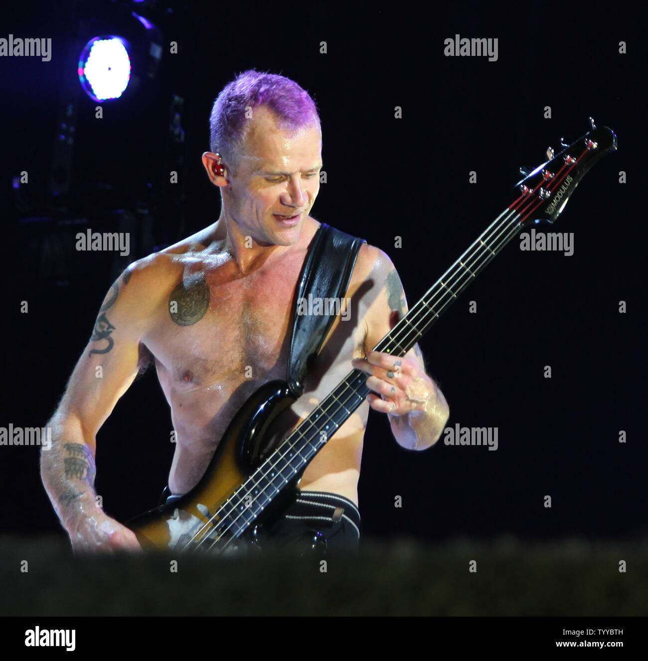 Flea, whose real name is Michael Peter Balzary, plays the bass guitar while performing with the Red Hot Chili Peppers in concert at Bercy in Paris on October 18, 2011.   UPI/David Silpa Stock Photo