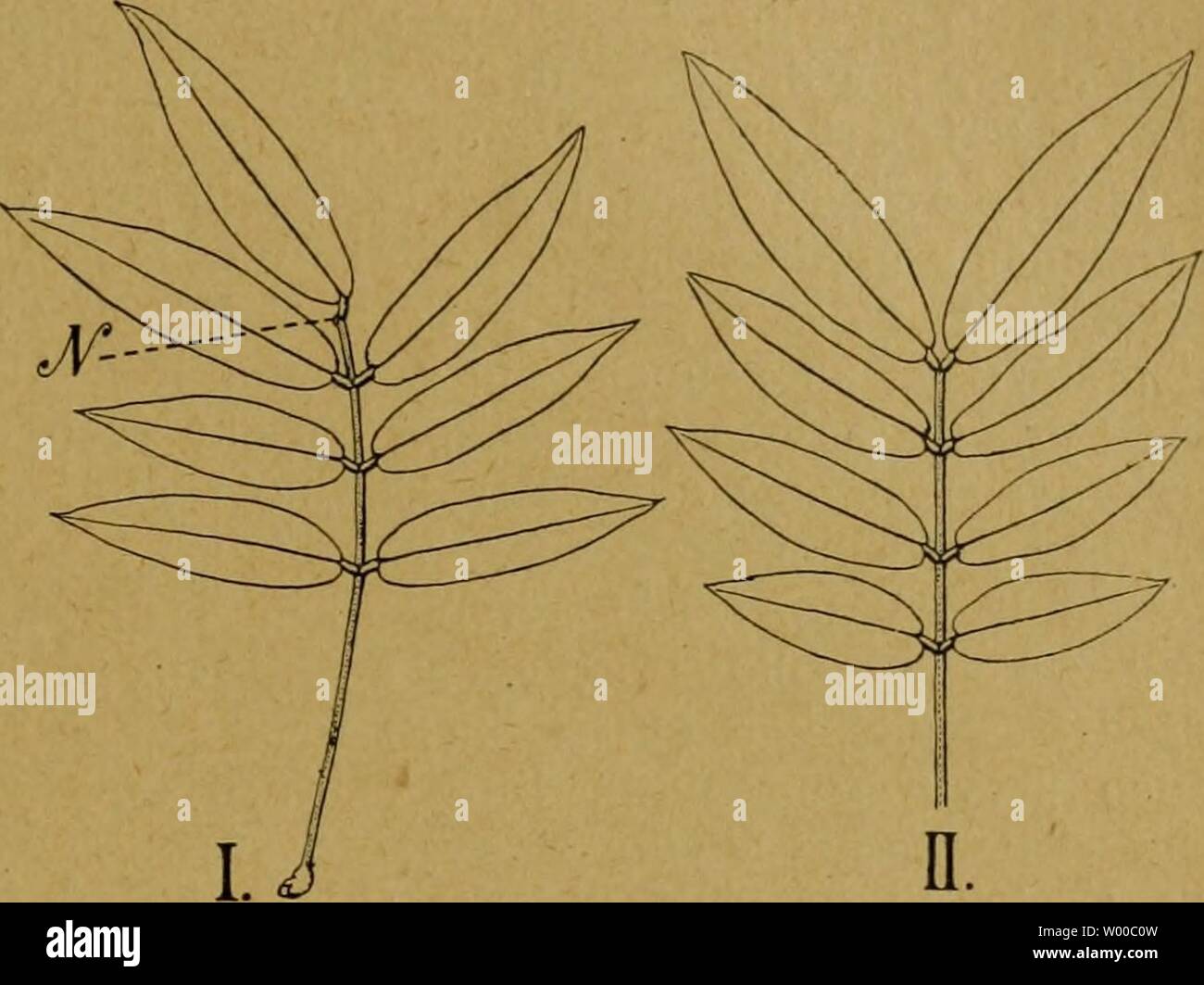 Bauernküche Nz : Kuche Ideen Einrichtung Landhaus Mit Holz Weiss Deko