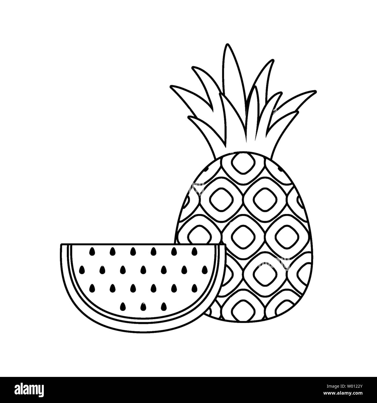 fresh slice of watermelon with pineapple fruits vector illustration ...