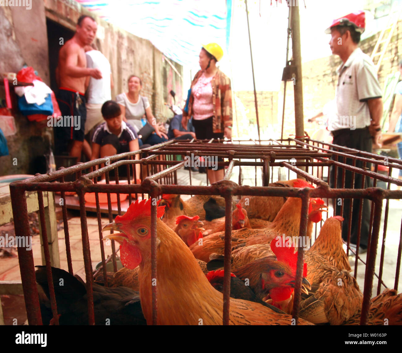 United poultry concerns hi-res stock photography and images - Alamy