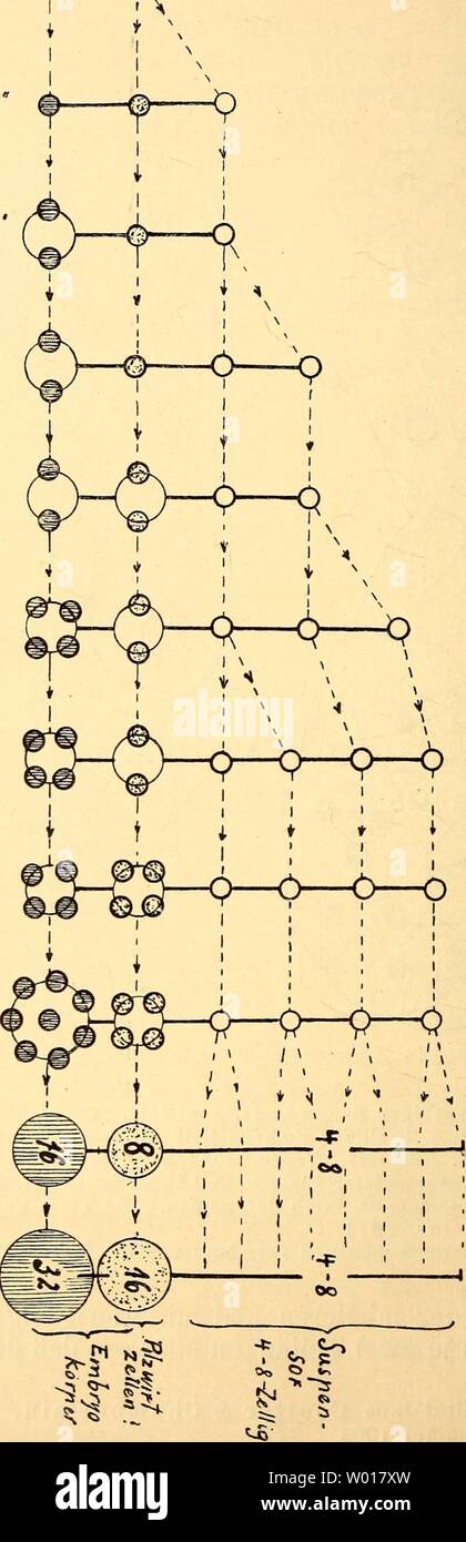 Page 2 Fb Page High Resolution Stock Photography And Images Alamy