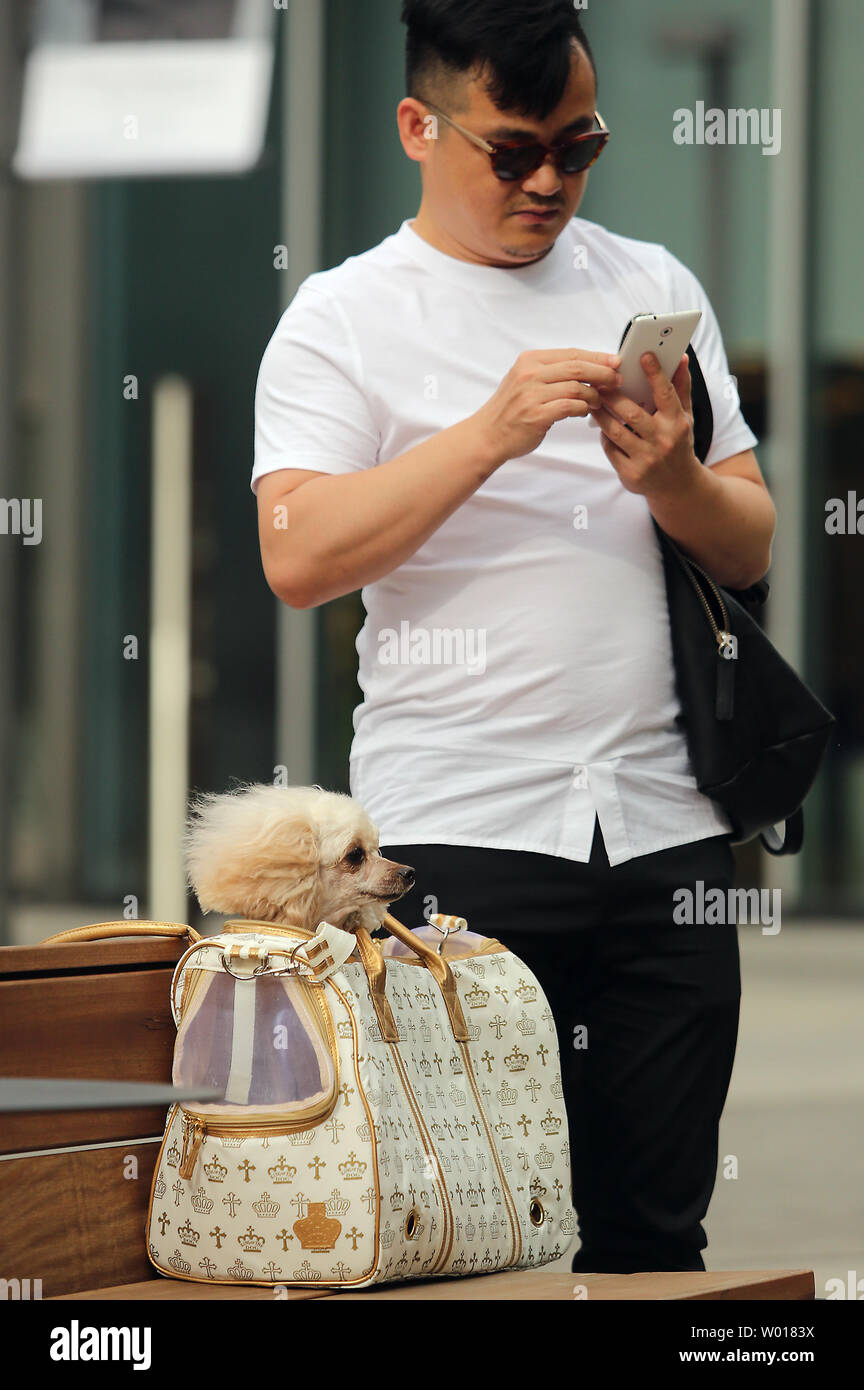 A Chinese shopper texts on his smart phone as his dog sits in a large designer purse at an upscale, international shopping mall in Beijing on June 21, 2015.  The explosive growth of China's middle class, a group which has mushroomed from just 4 percent in 2000 to 68 percent in 2012, is luring more and more foreign companies to establish bases, partnerships and joint-ventures in China.   Photo by Stephen Shaver/UPI Stock Photo