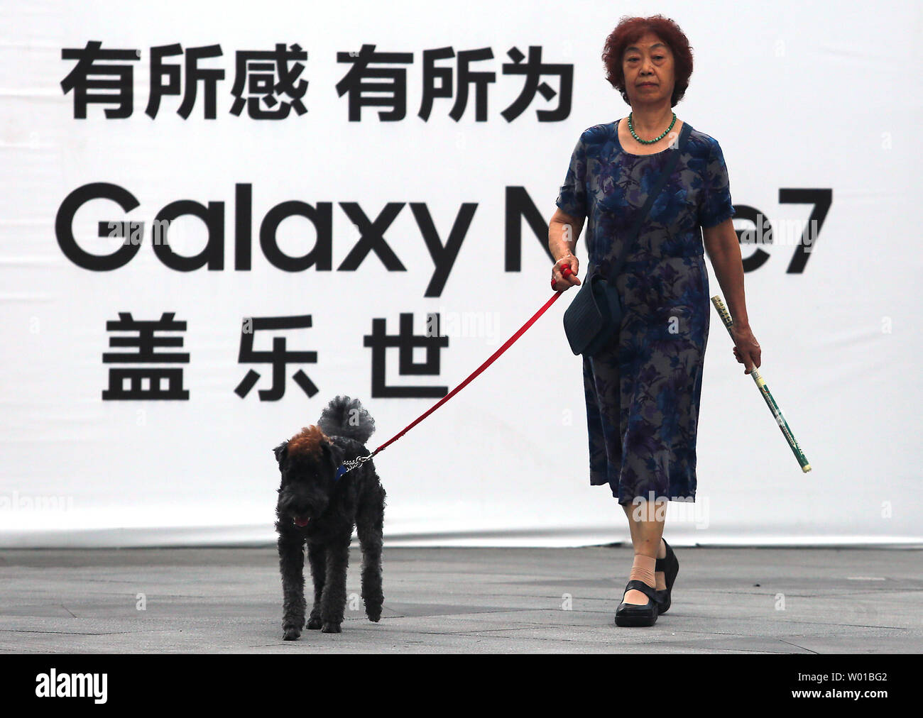 A Chinese woman walks her dog past a newly opened Samsung gallery showcasing its new Galaxy Note 7 smartphone in downtown Beijing on September13, 2016.  China's Amperex Technology Limited (ATL) is now providing batteries for Samsung's Galaxy Note 7 smartphone after faulty batteries prompted a worldwide recall of the phones, South Korea's Yonhap news agency reported.      Photo by Stephen Shaver/UPI Stock Photo
