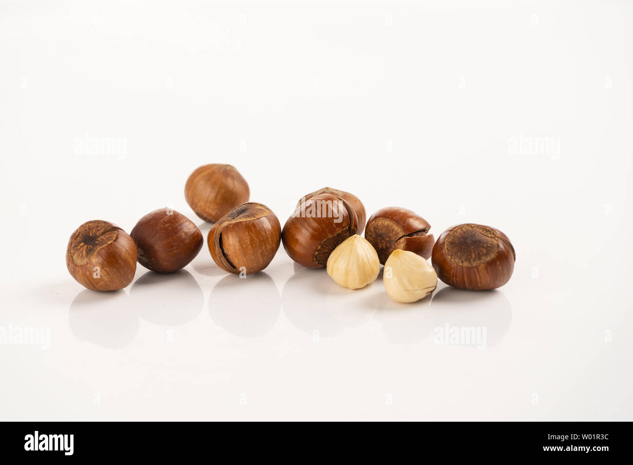 Northeast characteristic open hazelnut Stock Photo - Alamy