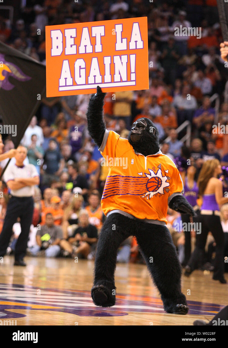 The Phoenix Suns mascot The Gorilla holds a Suns dancer on his