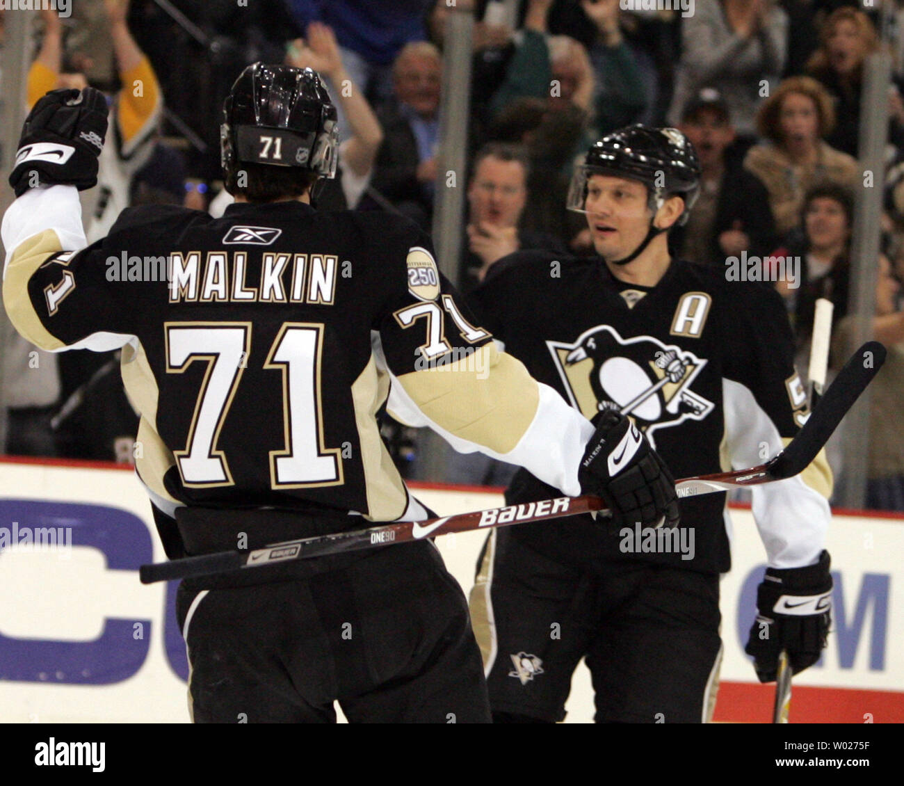 gonchar penguins jersey