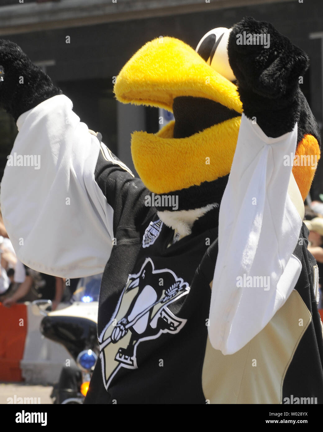 Pittsburgh penguins mascot hires stock photography and images Alamy